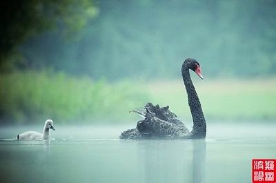 自信來(lái)源于對(duì)確定性的深度理解